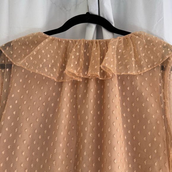 J.Crew Sheer Swiss Dot Ruffle Blouse Nude Beige Long Sleeve Top Women’s Large - Picture 5 of 10